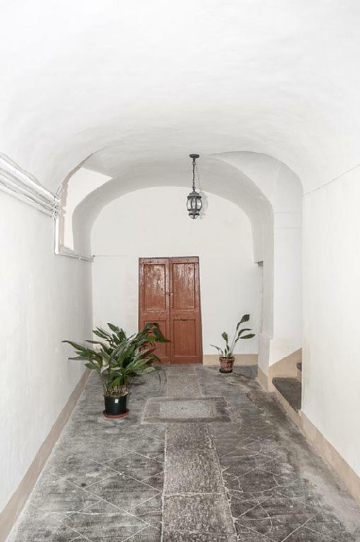 Casa Maria E Casa Cristina Διαμέρισμα Ορβιέτο Εξωτερικό φωτογραφία