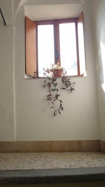 Casa Maria E Casa Cristina Διαμέρισμα Ορβιέτο Εξωτερικό φωτογραφία